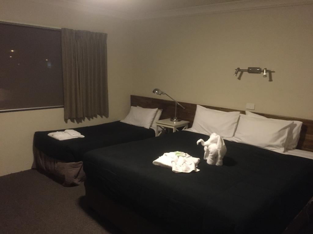 وودونغا Murray Valley Motel المظهر الخارجي الصورة